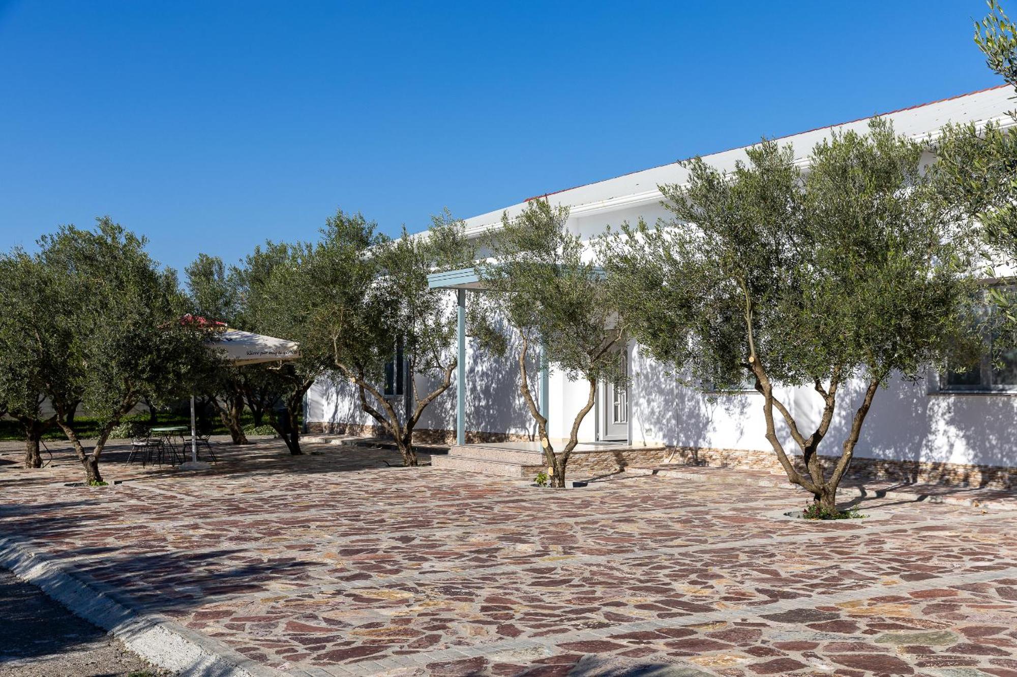 Hotel Paradise Shkodër 외부 사진